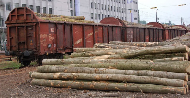 Pro Schiene will Gtertransporte auf der Bahn im  Kreis erhalten.  | Foto: gra