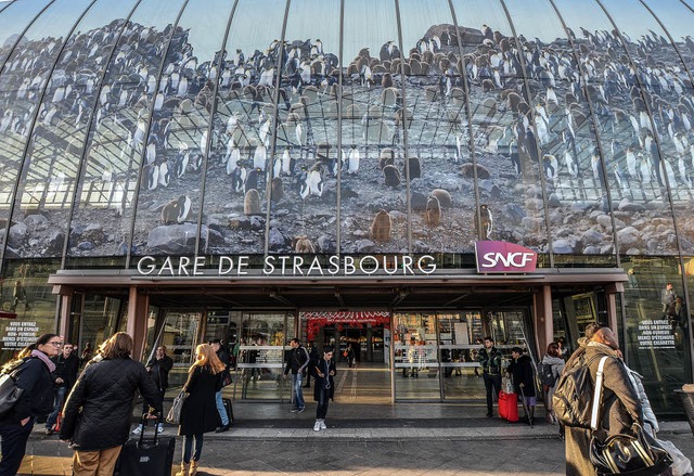 Blickfang: Pinguine auf der Fassade des Straburger Hauptbahnhofs   | Foto: teli