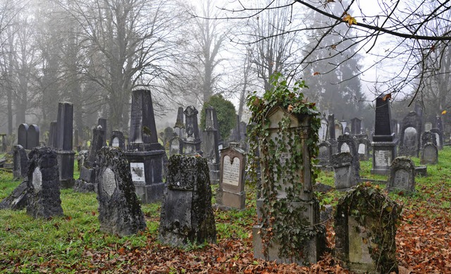 berwuchert, verwachsen und mehr als 3...: Der jdische Friedhof in Hegenheim.   | Foto: Annette Mahro