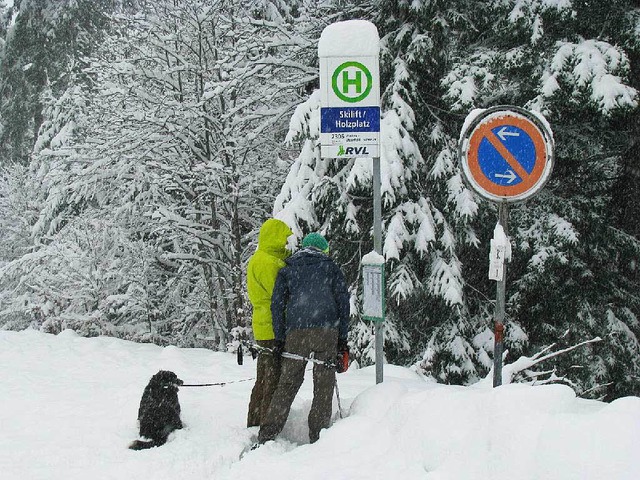 Zumindest die Schneeschuhwanderer konn...n Wintereinbruch im Mnstertal freuen.  | Foto: Manfred Lange