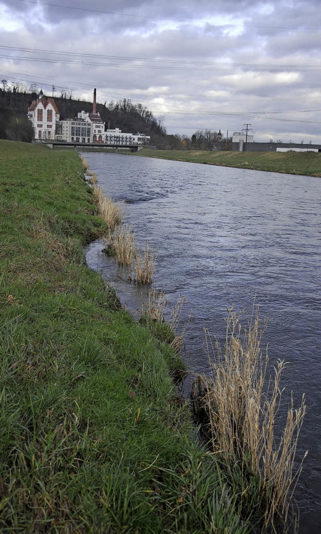 Das Wasser der Elz soll knftig bei Ri...nen. Dafr wird auch der Damm verlegt.  | Foto: Archivfoto: Freya Saurer