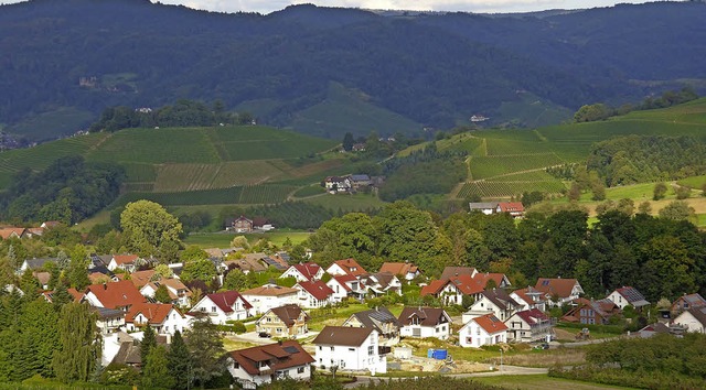 300000 Euro hat sich Oberkirch die Anb...211; an schnelles Netz kosten lassen.   | Foto: R.  Ullmann