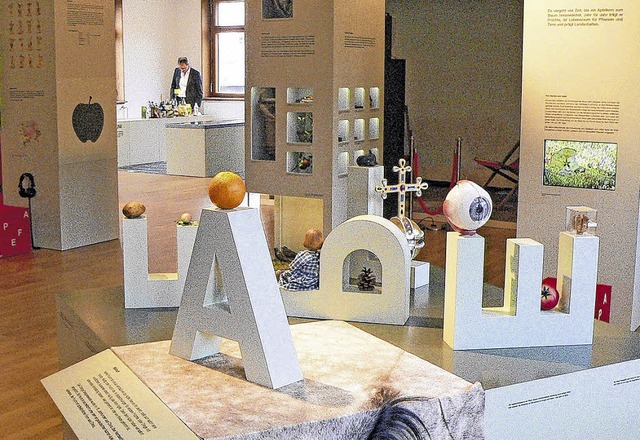 Star der Ausstellung: der Apfel   | Foto: Tillessen