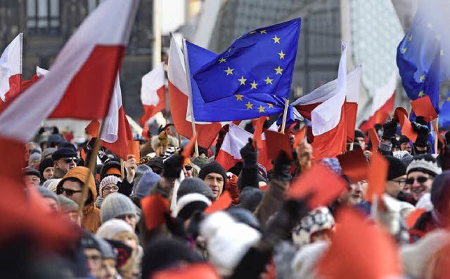 Mit Europaflagge protestierten am 2. J...istische Politik der neuen Regierung.   | Foto: dpa