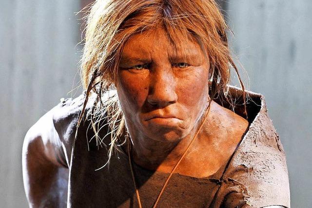 Neandertaler haben unser Immunsystem beeinflusst