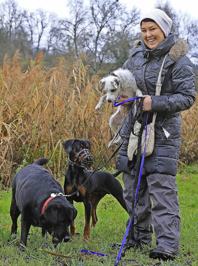 Verena Beck beim Hundesitting mit Maja, Bella und Jazz   | Foto: Decoux-Kone