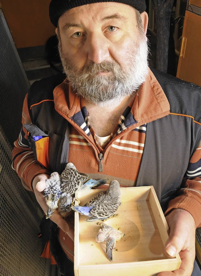 Vogelzchter Edwin Snger hat ein Herz...ischen Vogelarten beobachtet er gern.   | Foto: Robert Bergmann