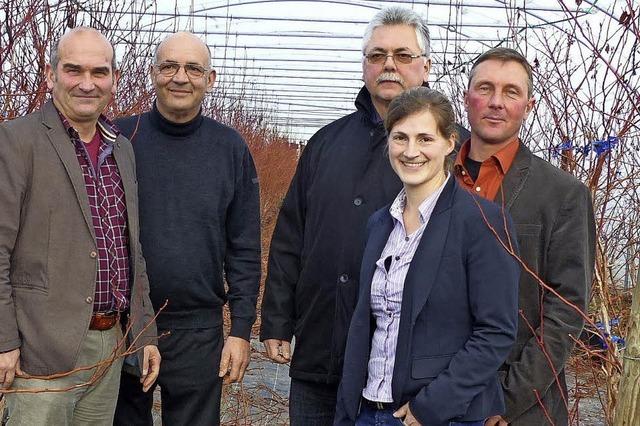 Wandel im Obstbau verndert auch die Landschaft