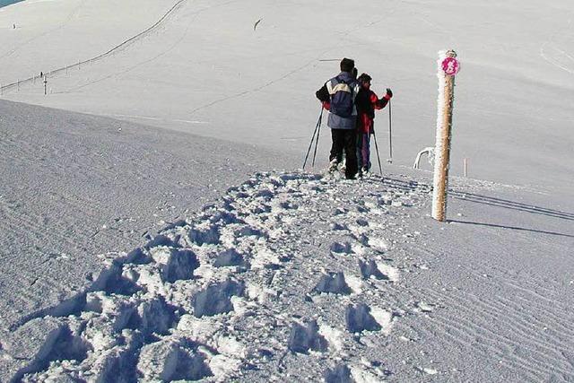 Schneeschuhwandern: 34 Touren auf dem Feldberg