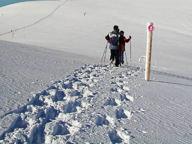 Schneeschuhwandern am Feldberg.  | Foto: privat