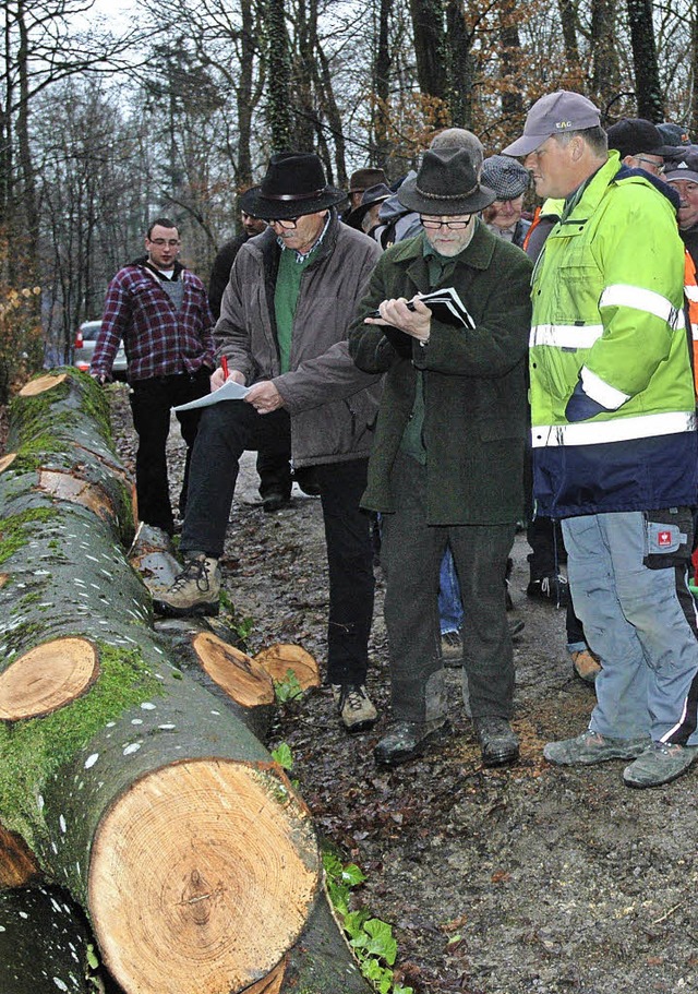 Holzens Ortsvorsteher Wilhelm Wei und...itte)  leiteten die Holzversteigerung.  | Foto: R. ounas-Krusel