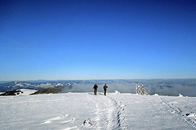   | Foto: Naturschutzzentrum Sdschwarzwald