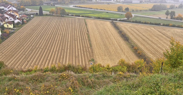 Das Baugebiet Kleb in Malterdingen soll erweitert werden.   | Foto: Erggelet