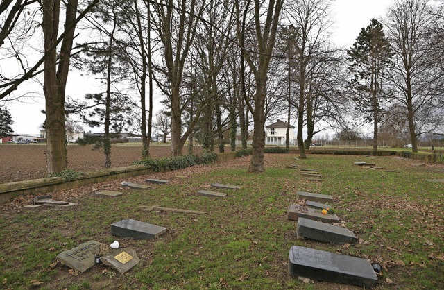 Zu hoch gewachsen sind einige Bume auf dem  Friedhof von Alt-Langenwinkel.   | Foto: Christoph Breithaupt