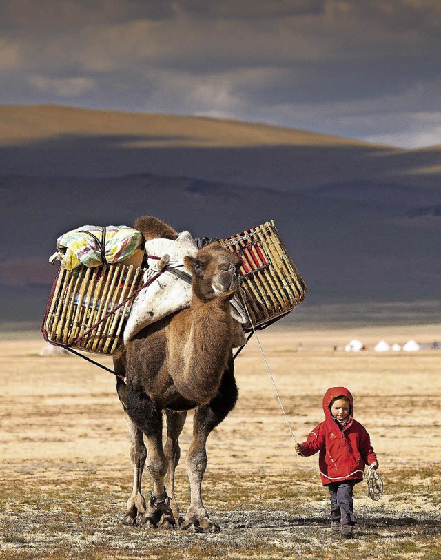 Das Abenteuer fest im Griff: eine Reis...d, Kegel und Kamel durch die Mongolei   | Foto: Vetter und Heiland/jens Klatt