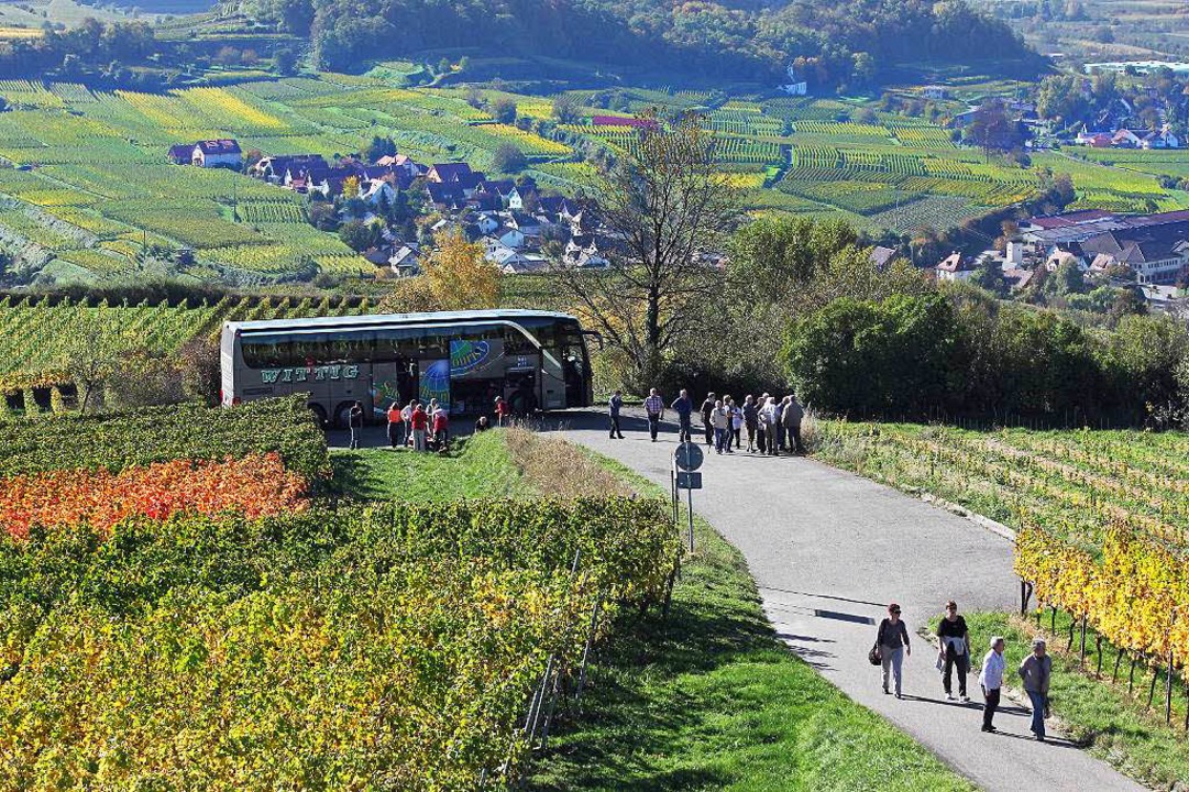 Deutschland: Kaiserstuhl | TOUR Deutschland: Kaiserstuhl | TOUR