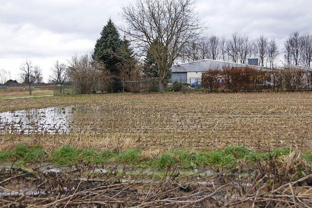 Eine neue Halle als Notunterkunft