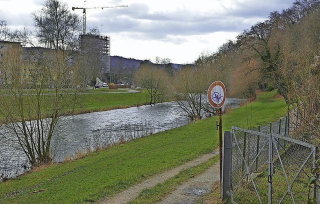 Der Radweg rechts der Wiese bleibt umstritten.  | Foto: Anika Maldacker