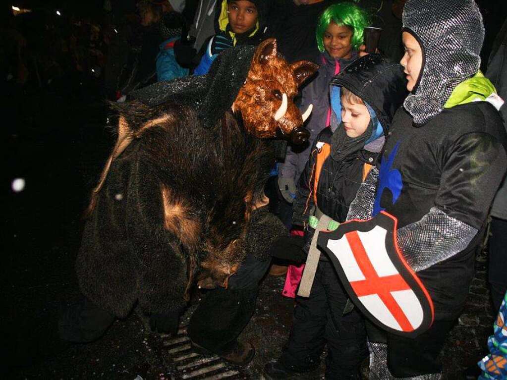 Impressionen vom Nachtumzug der Hotzenblitzzunft in Grwihl.