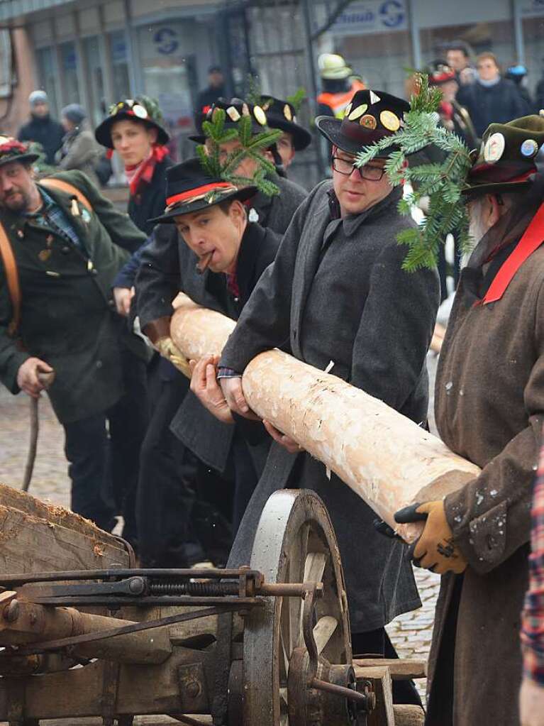 Die Chloschterhfer Wlder brachten in diesem Jahr einen besonders groen Baum zum Rathausplatz.