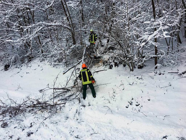 Sieht aus wie ein Waldweg, ist aber ei...om Schneebruch freigelegt werden muss.  | Foto: Feuerwehr Waldkirch