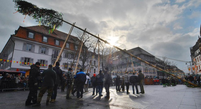 22 Meter Narrenbaum galt es am Samstag... das erfordert  Kraft und Feingefhl.   | Foto: Barbara Ruda