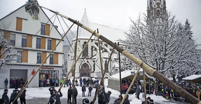 Fast 26 Meter misst der Baum, geschmckt mit Schwanenaufklebern.   | Foto: Verena Wehrle