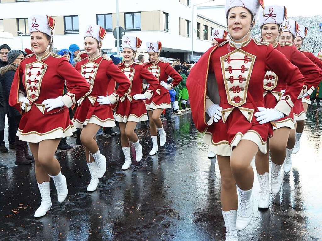 In Stegen beteiligten sich 74 Narrenznfte, Musikkapellen, Guggemusiken und Fasnetcliquen am groen Jubilumsumzug der Waldgeister.