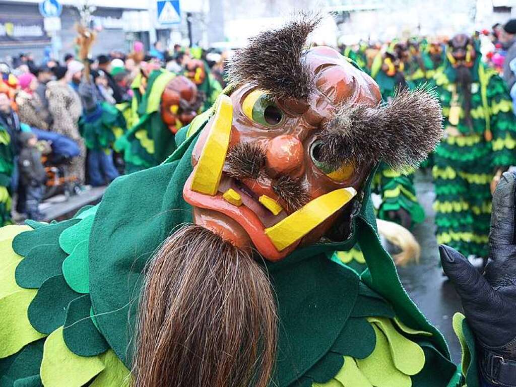 In Stegen beteiligten sich 74 Narrenznfte, Musikkapellen, Guggemusiken und Fasnetcliquen am groen Jubilumsumzug der Waldgeister.