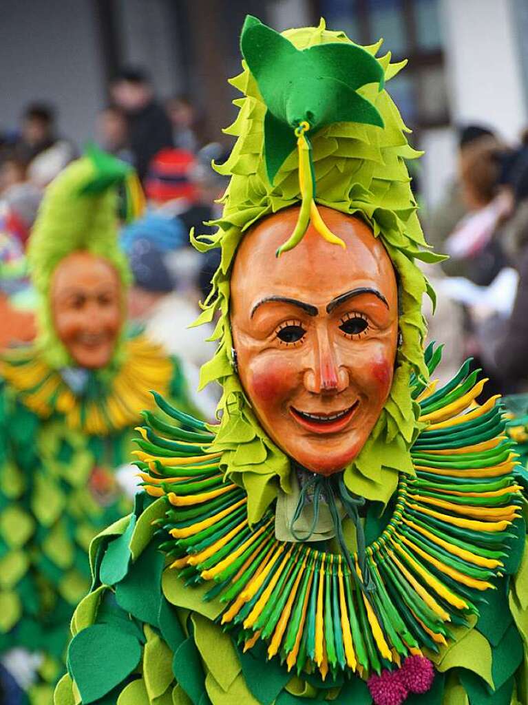 In Stegen beteiligten sich 74 Narrenznfte, Musikkapellen, Guggemusiken und Fasnetcliquen am groen Jubilumsumzug der Waldgeister.