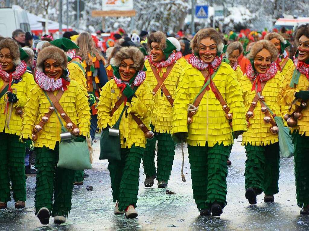 In Stegen beteiligten sich 74 Narrenznfte, Musikkapellen, Guggemusiken und Fasnetcliquen am groen Jubilumsumzug der Waldgeister.