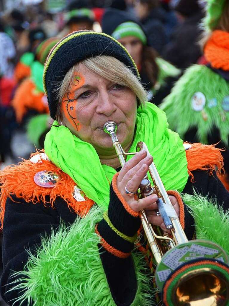 In Stegen beteiligten sich 74 Narrenznfte, Musikkapellen, Guggemusiken und Fasnetcliquen am groen Jubilumsumzug der Waldgeister.