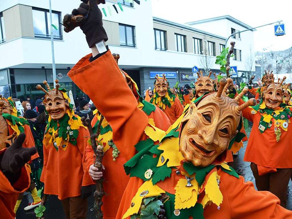 In Stegen beteiligten sich 74 Narrenznfte, Musikkapellen, Guggemusiken und Fasnetcliquen am groen Jubilumsumzug der Waldgeister.