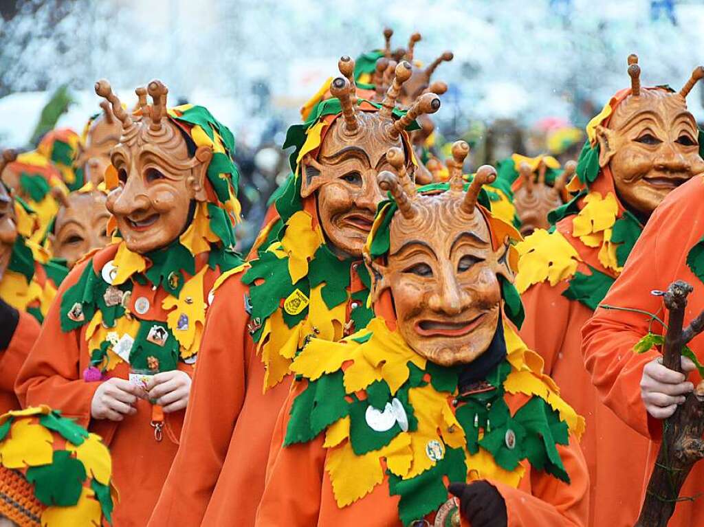 In Stegen beteiligten sich 74 Narrenznfte, Musikkapellen, Guggemusiken und Fasnetcliquen am groen Jubilumsumzug der Waldgeister.