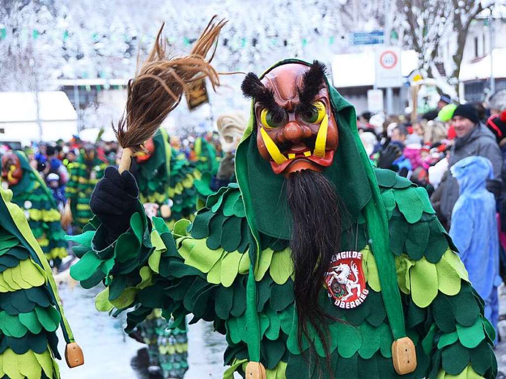 In Stegen beteiligten sich 74 Narrenznfte, Musikkapellen, Guggemusiken und Fasnetcliquen am groen Jubilumsumzug der Waldgeister.