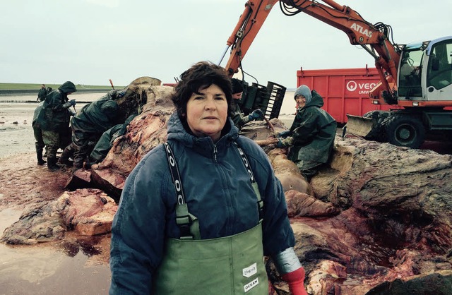 Die Tierrztin Ursula Siebert vor dem zerlegten Pottwal-Kadaver   | Foto: Christiane Keck