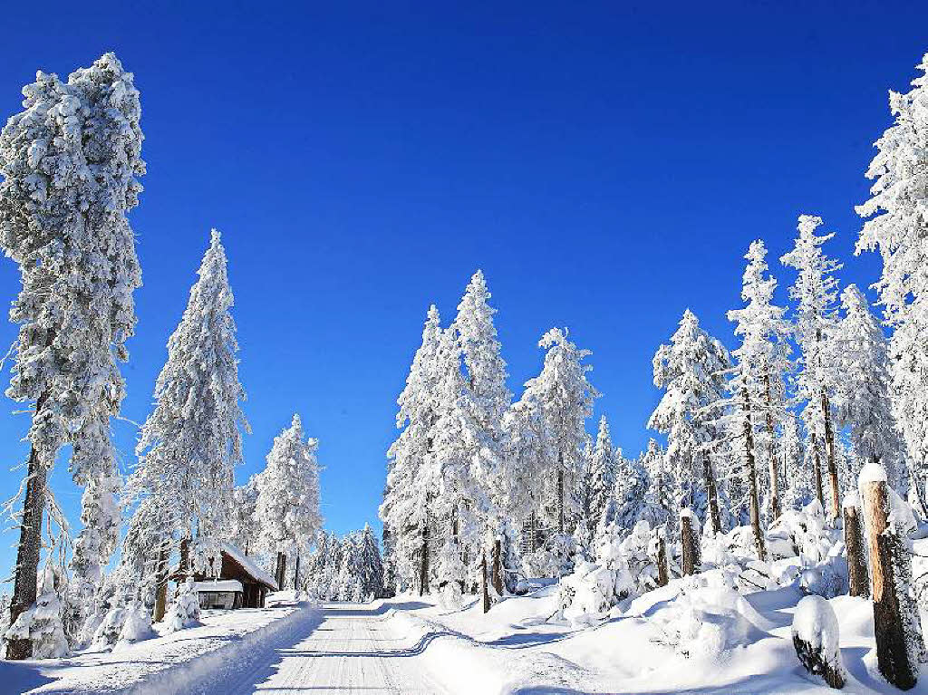 Winter im Nationalpark Harz Winter im Nationalpark Harz