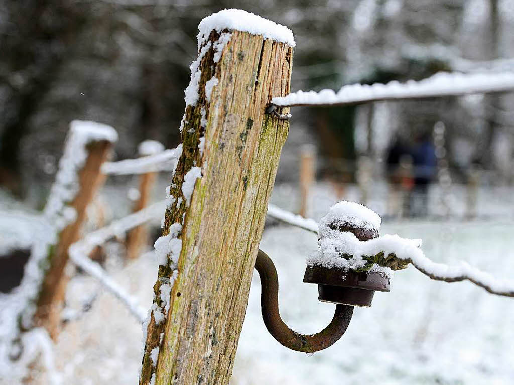 Winter im Nordwesten Winter im Nordwesten