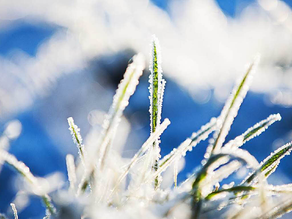 Frost in Bochum Frost in Bochum