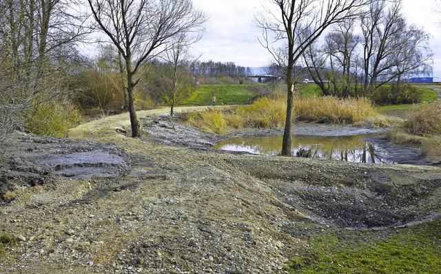 Der Molchtmpel beim Baggersee   | Foto: Wolfgang Hoffmann