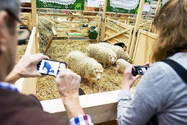 Politik hinter Fleischbergen: Die Grne Woche in Berlin