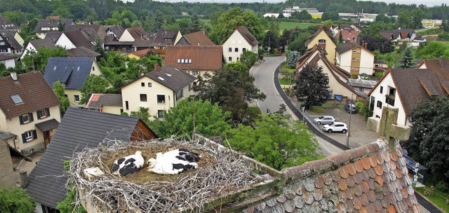 Wohnraum in Mrkt ist begehrt, aber  n... ein gemachtes Nest, wie die Strche.   | Foto: SEDLAK