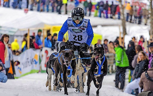 Nach den Schneefllen drfte spannende...ttenhunderennen nichts im Wege stehen.  | Foto: Ernst Schindl