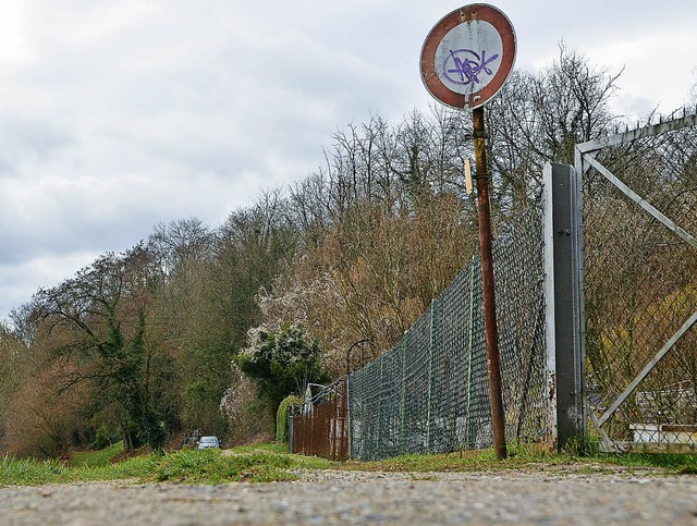 Der Radweg rechts der Wiese bleibt in der Diskussion.   | Foto: Maldacker