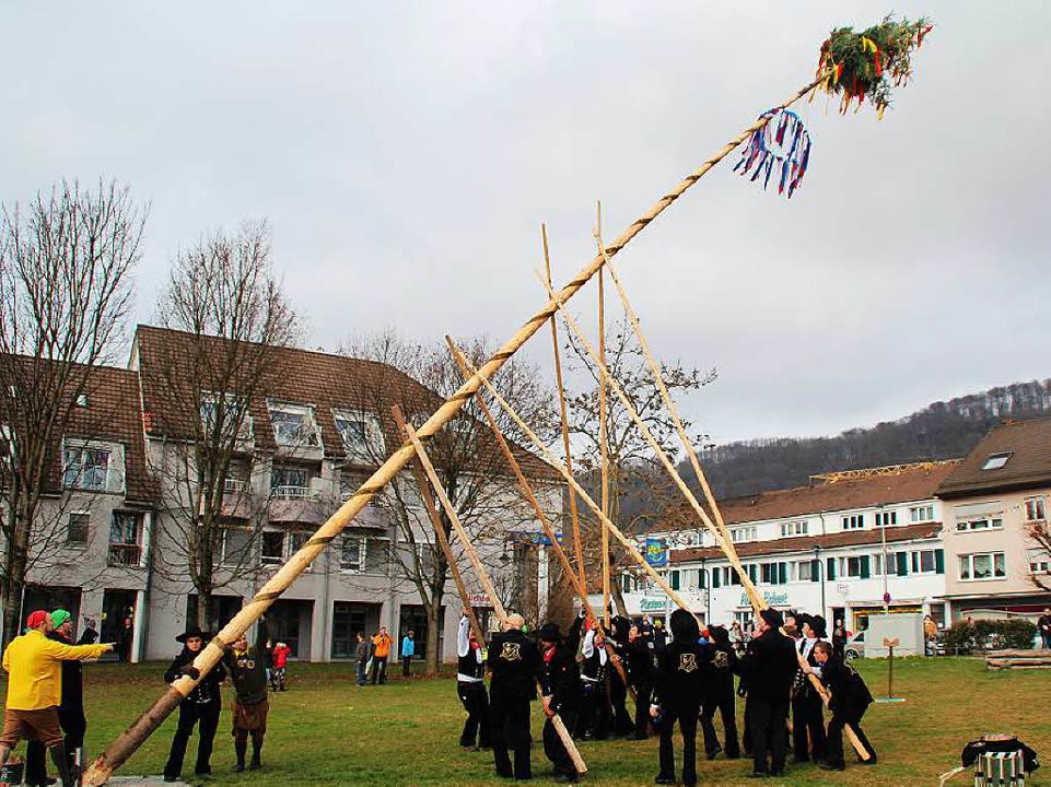Mit Kraft und Geschick  drckten 16 Mnner den Baum in die Senkrechte  | Foto: Rolf Reimann