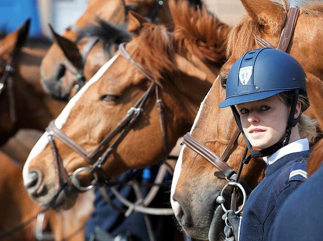 Gehrt demnchst in Freiburg zum Straenbild: polizeiliche Reiterstaffel.  | Foto: dpa