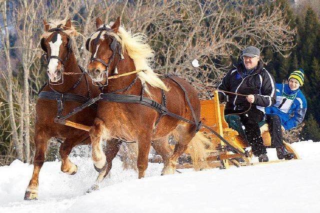 Fotos: Pferdeschlittenrennen in St. Mrgen