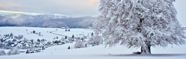 Wintermorgen bei Hofsgrund auf dem Sch...uar zum Biosphrengebiet Schwarzwald.   | Foto: Ute Maier