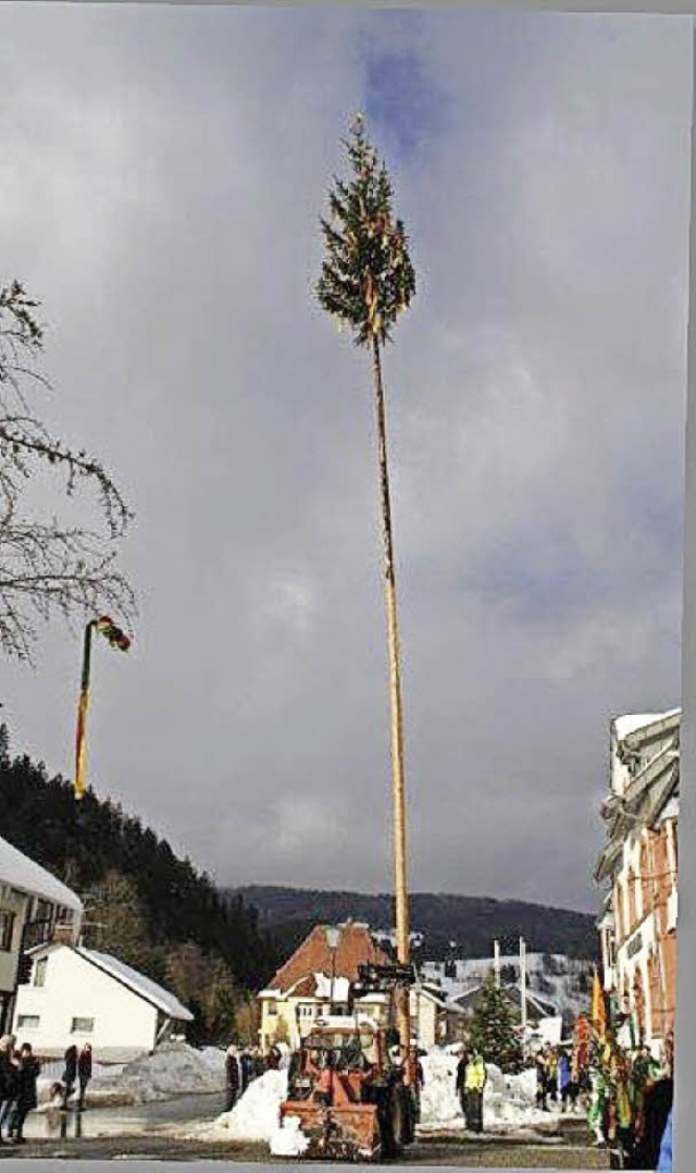 Die Lebkchler hatten den Baum geschmckt.  | Foto: Andreas Bhm 