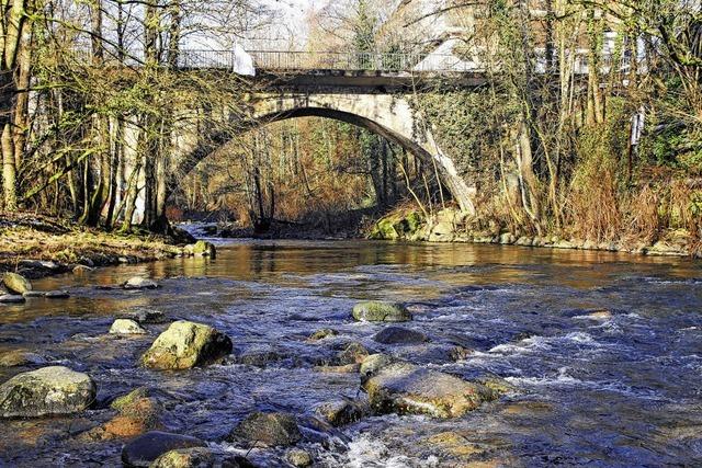 Der Albsteig ist auf gutem Weg